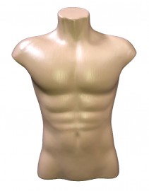 Busto masculino bege